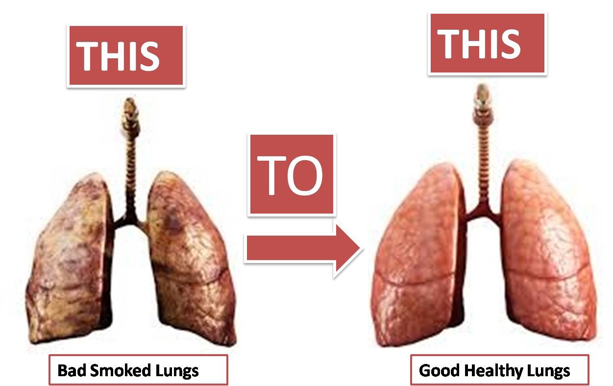 healthy lungs non smoked lungs quit smoking – Need Tricks – Technology ...